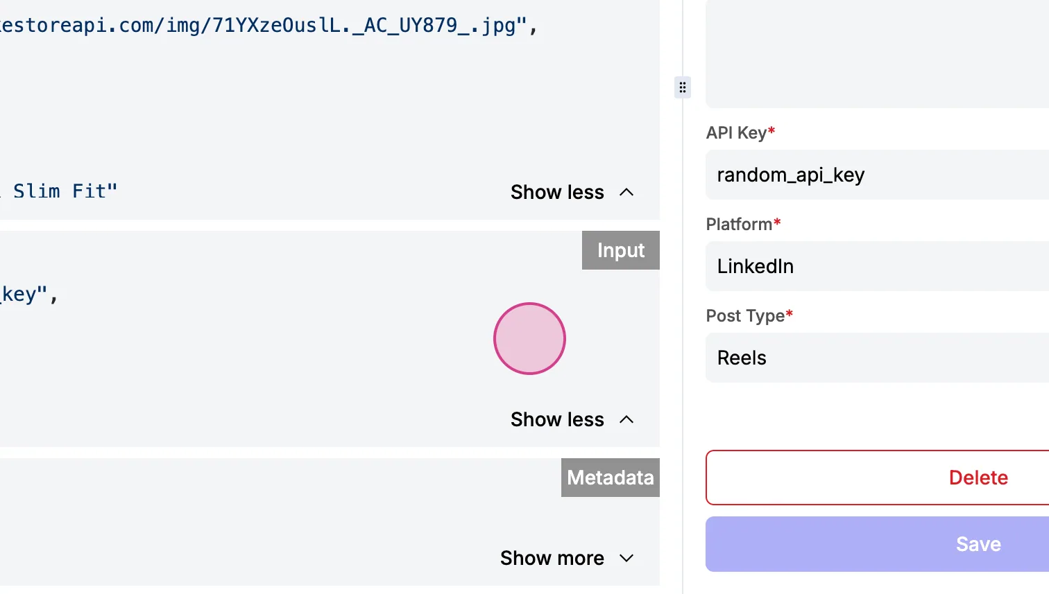 Get Posts execution log with expanded output, "Input" and "Metadata" sections, next to the API Key, Platform and Post Type values