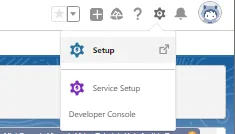 Salesforce gear menu open showing the "Setup", "Service Setup" and "Developer Console" options.
