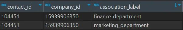 Table rows showing one contact and company pair with two association labels, "finance_department" and "marketing_department".