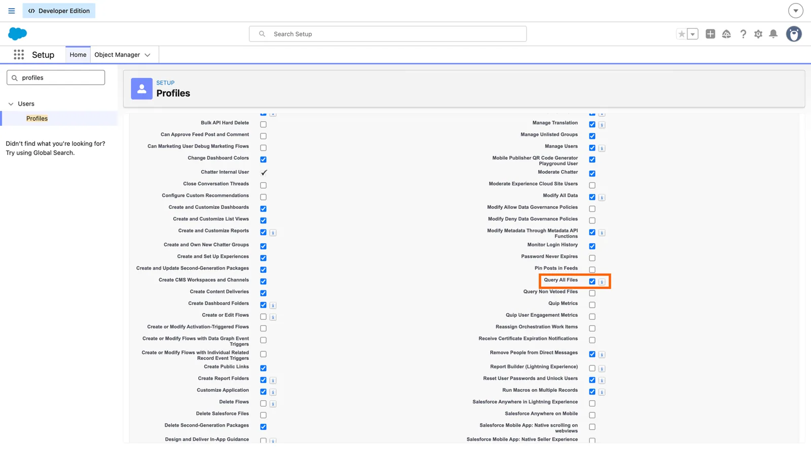 Salesforce custom profile Administrative Permissions with the "Query All Files" checkbox highlighted and checked.