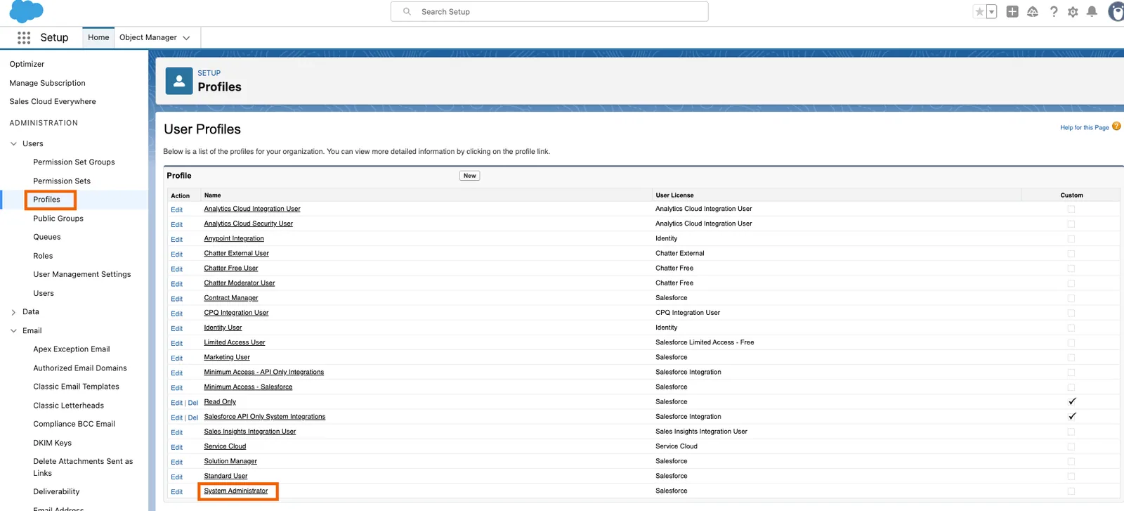 Salesforce Setup User Profiles list with "Profiles" and the "System Administrator" profile highlighted.